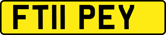 FT11PEY