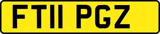 FT11PGZ