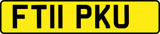FT11PKU
