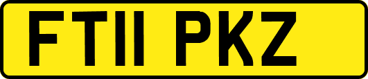 FT11PKZ