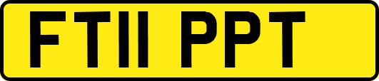 FT11PPT