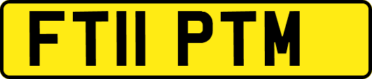 FT11PTM