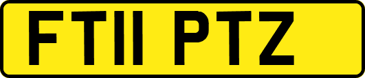 FT11PTZ