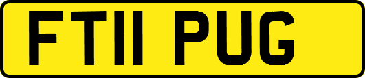 FT11PUG