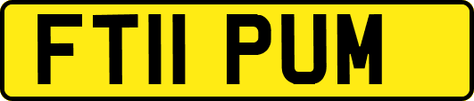 FT11PUM