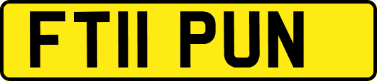 FT11PUN