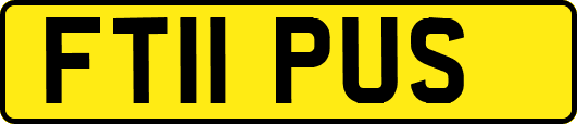 FT11PUS