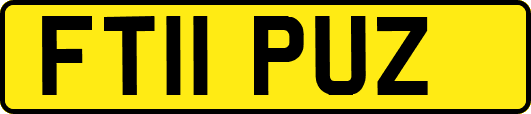 FT11PUZ