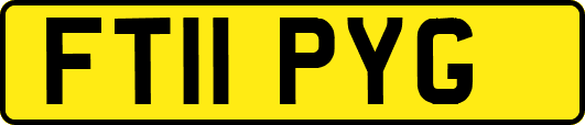 FT11PYG