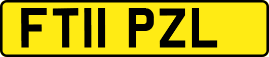 FT11PZL