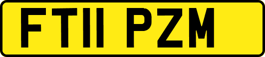 FT11PZM