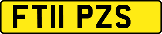 FT11PZS