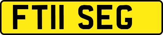 FT11SEG