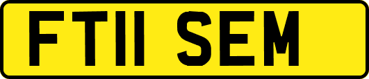 FT11SEM