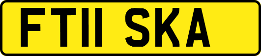 FT11SKA