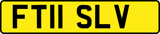 FT11SLV