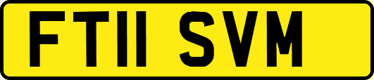 FT11SVM