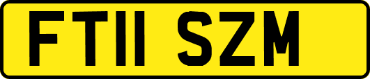 FT11SZM