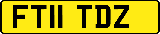 FT11TDZ