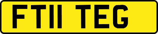 FT11TEG