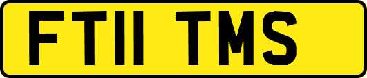 FT11TMS