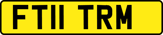 FT11TRM