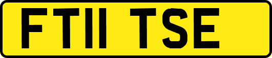 FT11TSE