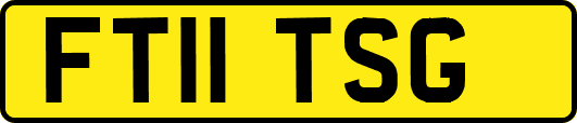 FT11TSG