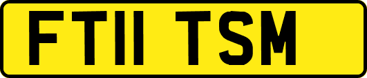 FT11TSM