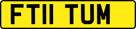 FT11TUM