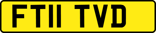 FT11TVD