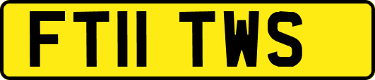 FT11TWS