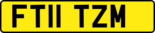 FT11TZM