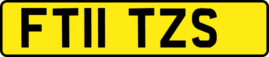 FT11TZS