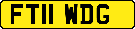 FT11WDG