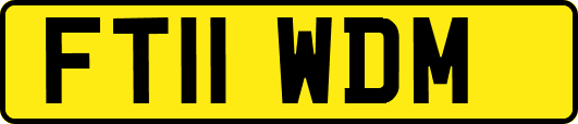 FT11WDM