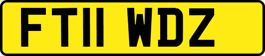 FT11WDZ