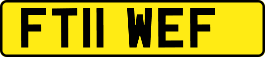 FT11WEF