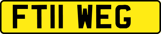 FT11WEG