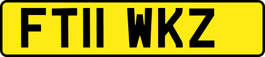 FT11WKZ