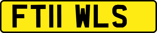 FT11WLS