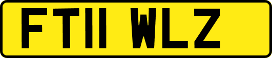 FT11WLZ