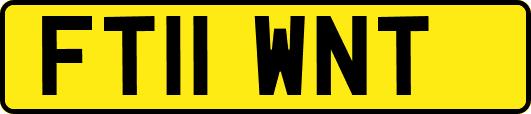 FT11WNT