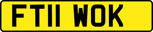 FT11WOK