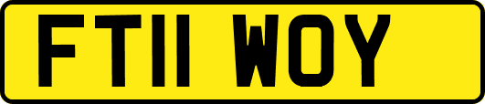 FT11WOY