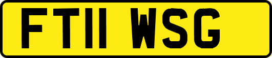 FT11WSG