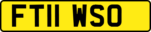 FT11WSO