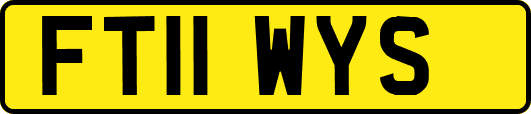 FT11WYS