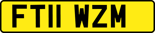 FT11WZM
