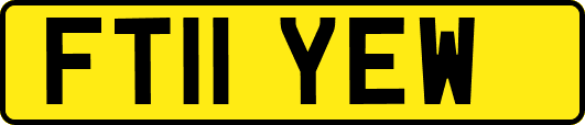 FT11YEW